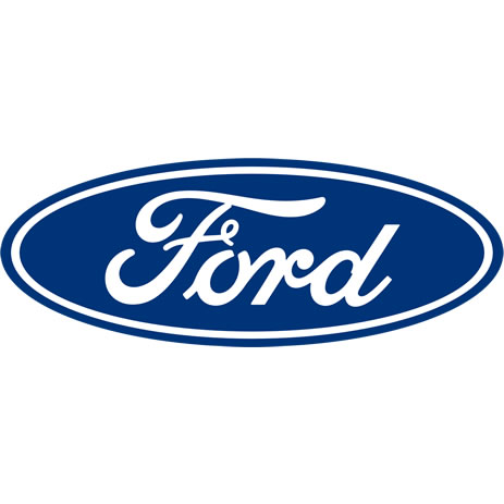 Ford Van Rear Door Ladders