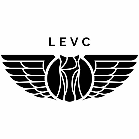 LEVC Van Rear Steps