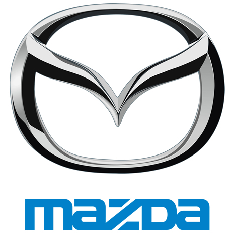 Mazda Bull Bars/Nudge Bars
