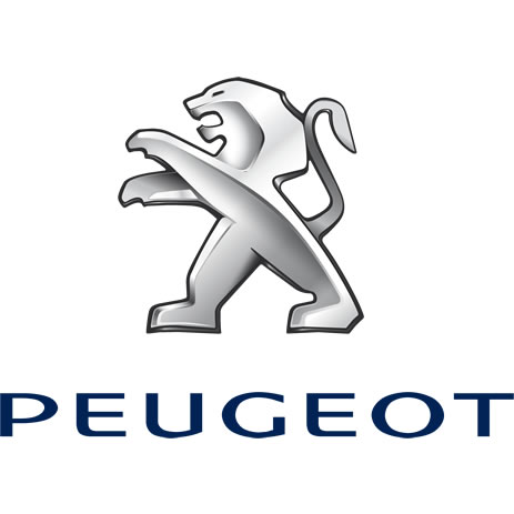Peugeot Van Rear Steps