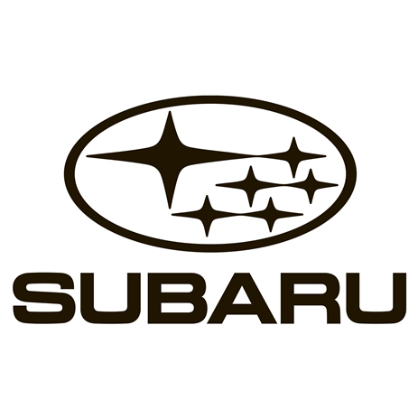 Subaru Bull Bars/Nudge Bars